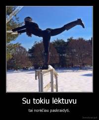 Su tokiu lėktuvu - tai norėčiau paskraidyti.