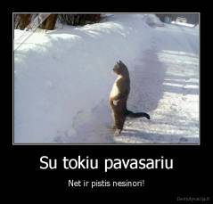 Su tokiu pavasariu - Net ir pistis nesinori!