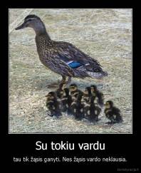 Su tokiu vardu - tau tik žąsis ganyti. Nes žąsis vardo neklausia.