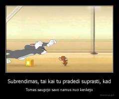 Subrendimas, tai kai tu pradedi suprasti, kad - Tomas saugojo savo namus nuo kenkėjo