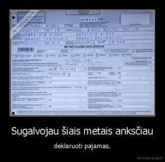 Sugalvojau šiais metais anksčiau - deklaruoti pajamas.