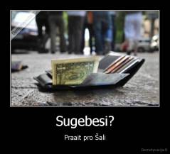 Sugebesi? - Praait pro Šali
