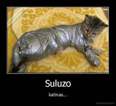 Suluzo - katinas...