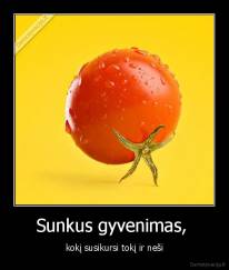 Sunkus gyvenimas,  - kokį susikursi tokį ir neši