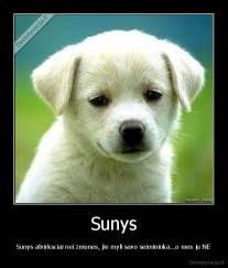 Sunys - Sunys atvirksciai nei zmones, jie myli savo seimininka...o mes ju NE