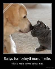 Sunys turi pelnyti musu meile, - o kaciu meile turime pelnyti mes.