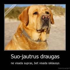 Suo-jautrus draugas - ne visada supras, bet visada isklausys
