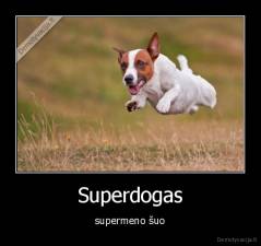 Superdogas - supermeno šuo