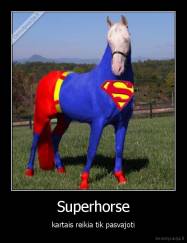 Superhorse - kartais reikia tik pasvajoti