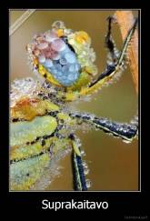 Suprakaitavo - 
