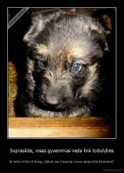 Supraskite, visas gyvenimas veda link tobulybės - Jei tenka rinktis iš dviejų, užduok sau klausimą: kuriuo atveju būsi tobulesnis?