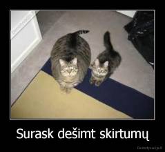 Surask dešimt skirtumų - 