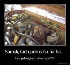 Surask,kad gudrus ha ha ha... - Ooo palauk,kaip dabar islysti???