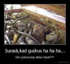 Surask,kad gudrus ha ha ha... - Ooo pslsuk,ksip dabar islysti???