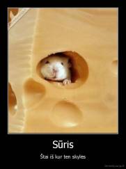 Sūris - Štai iš kur ten skylės