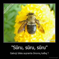 "Sūru, sūru, sūru" - Galvoji bitės supranta žmonių kalbą ?