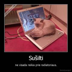 Sušilti - ne visada reikia prie radiatoriaus.