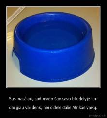 Susimąsčiau, kad mano šuo savo bliudelyje turi - daugiau vandens, nei didelė dalis Afrikos vaikų.