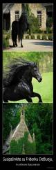 Susipažinkite su Frideriku Didžiuoju, - tai gražiausias žirgas pasaulyje