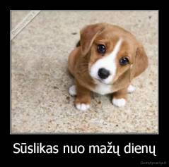 Sūslikas nuo mažų dienų - 