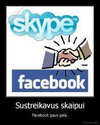 Sustreikavus skaipui - Facebook gaus gala.