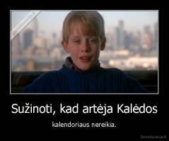 Sužinoti, kad artėja Kalėdos - kalendoriaus nereikia.