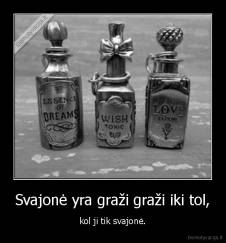 Svajonė yra graži graži iki tol, - kol ji tik svajonė.