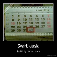 Svarbiausia - kad širdy dar ne ruduo