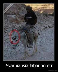 Svarbiausia labai norėti - 