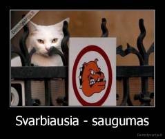 Svarbiausia - saugumas - 