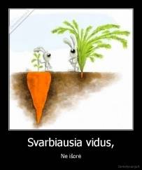 Svarbiausia vidus, - Ne išorė