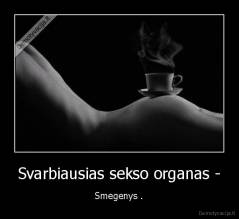 Svarbiausias sekso organas - - Smegenys .