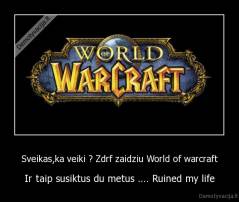 Sveikas,ka veiki ? Zdrf zaidziu World of warcraft - Ir taip susiktus du metus .... Ruined my life