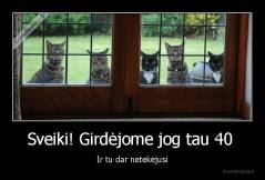 Sveiki! Girdėjome jog tau 40  - Ir tu dar netekėjusi