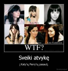 Sveiki atvykę - į Katy'ių Perry'ių pasaulį.