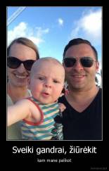 Sveiki gandrai, žiūrėkit - kam mane palikot