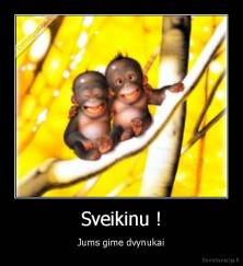 Sveikinu ! - Jums gime dvynukai