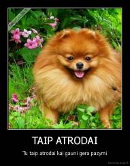 TAIP ATRODAI - Tu taip atrodai kai gauni gera pazymi