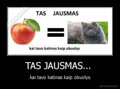 TAS JAUSMAS...  - kai tavo katinas kaip obuolys