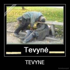 TEVYNE - 