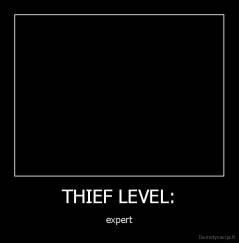 THIEF LEVEL: - expert