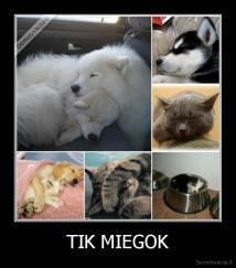 TIK MIEGOK - 