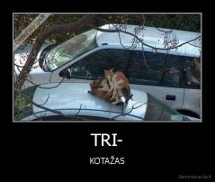 TRI- - KOTAŽAS