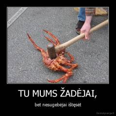 TU MUMS ŽADĖJAI, - bet nesugebėjai ištęsėt