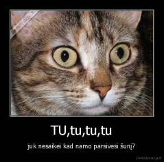 TU,tu,tu,tu - juk nesaikei kad namo parsivesi šunį?