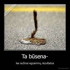 Ta būsena- - kai sužinai egzaminų rezultatus