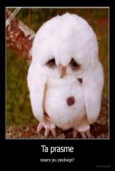 Ta prasme - vasara jau pasibaigė?