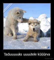 Taduuuuuks uuuutele kūūūrva - 