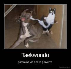Taekwondo - pamokos vis del to praverte 