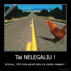 Tai NELEGALIU ! - Arizonoj , USA vistai pereiti kelia yra visiskai nelegalu !